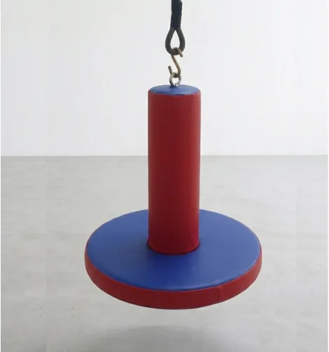Disc Swing