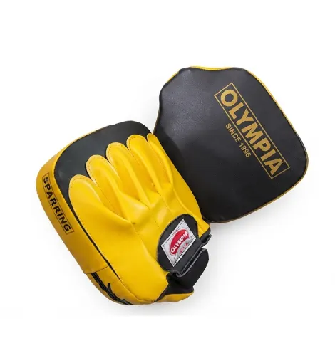 Focus Pad / Punching Mitts