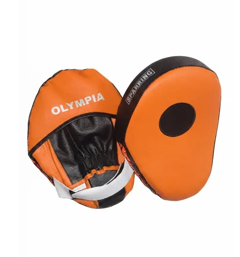 Focus Pad / Punching Mitts
