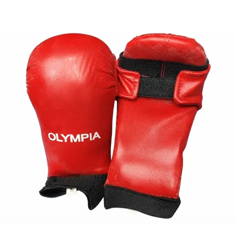Karate Gloves - Leather