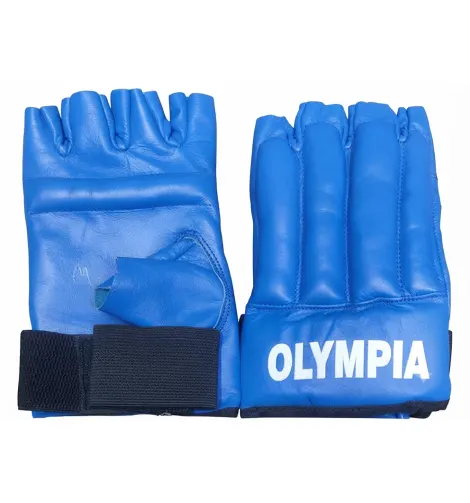 Taekwondo Gloves- Leather
