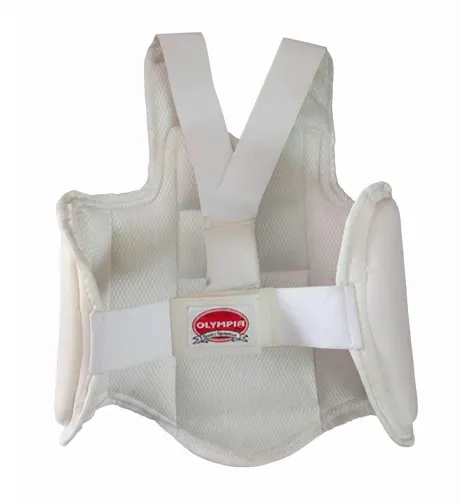 Karate Chest Guard