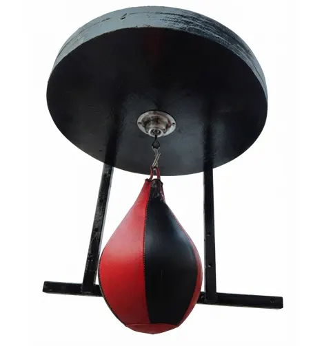 Speed Ball With Wall Stand